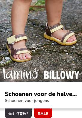 Campaign 12