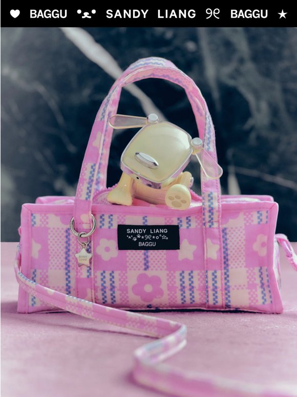 It's Here! BAGGU x Sandy Liang