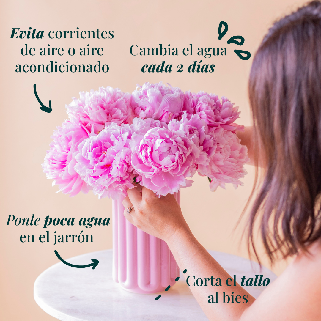 Cómo cuidarlas