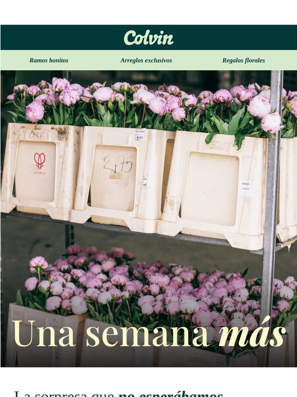 🫢 Esto sí que no lo esperábamos…