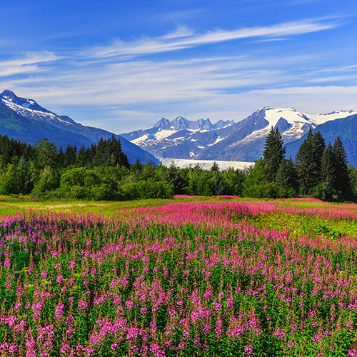 Juneau, Alaska