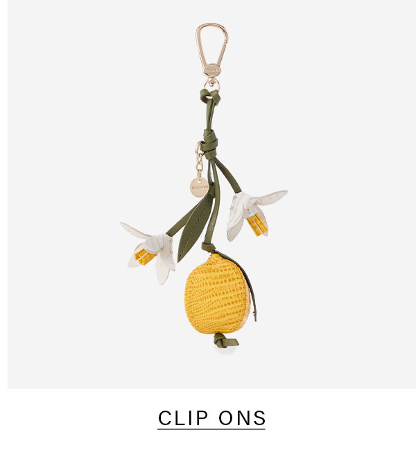 CLIP ONS