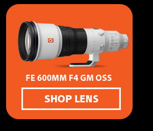 FE 600mm F4 GM OSS | Shop Lens 