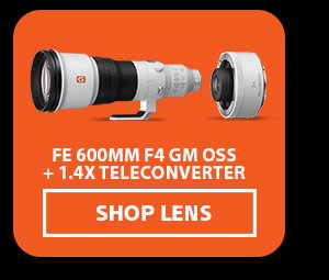 FE 600mm F4 GM OSS + 1.4X Teleconverter | Shop Lens