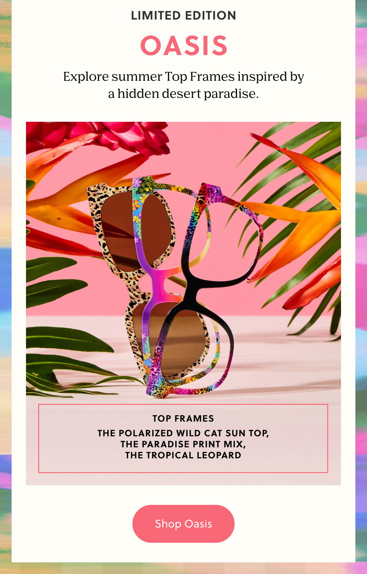LIMITED EDITION | OASIS | Explore summer Top Frames inspired by a hidden desert paradise. | Shop Oasis