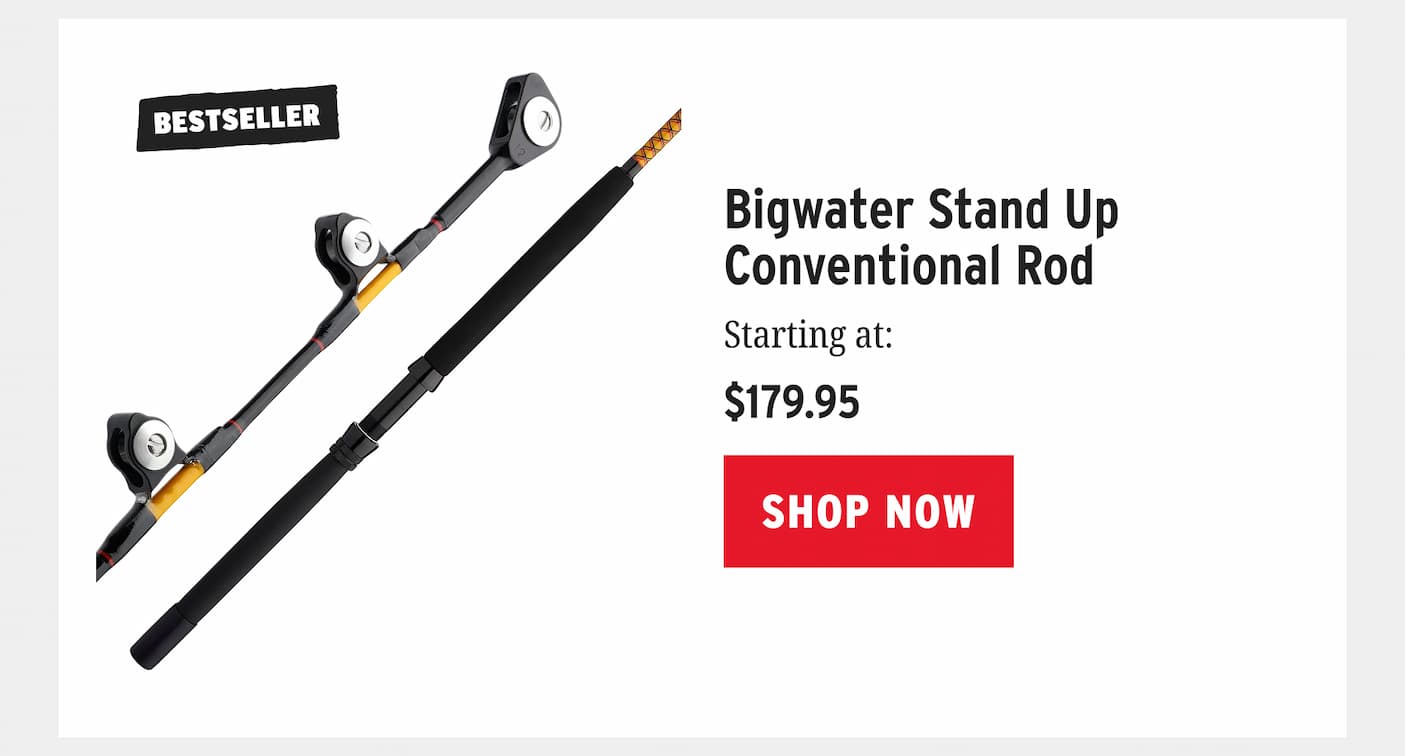 Bigwater Stand Up Conventional Rod