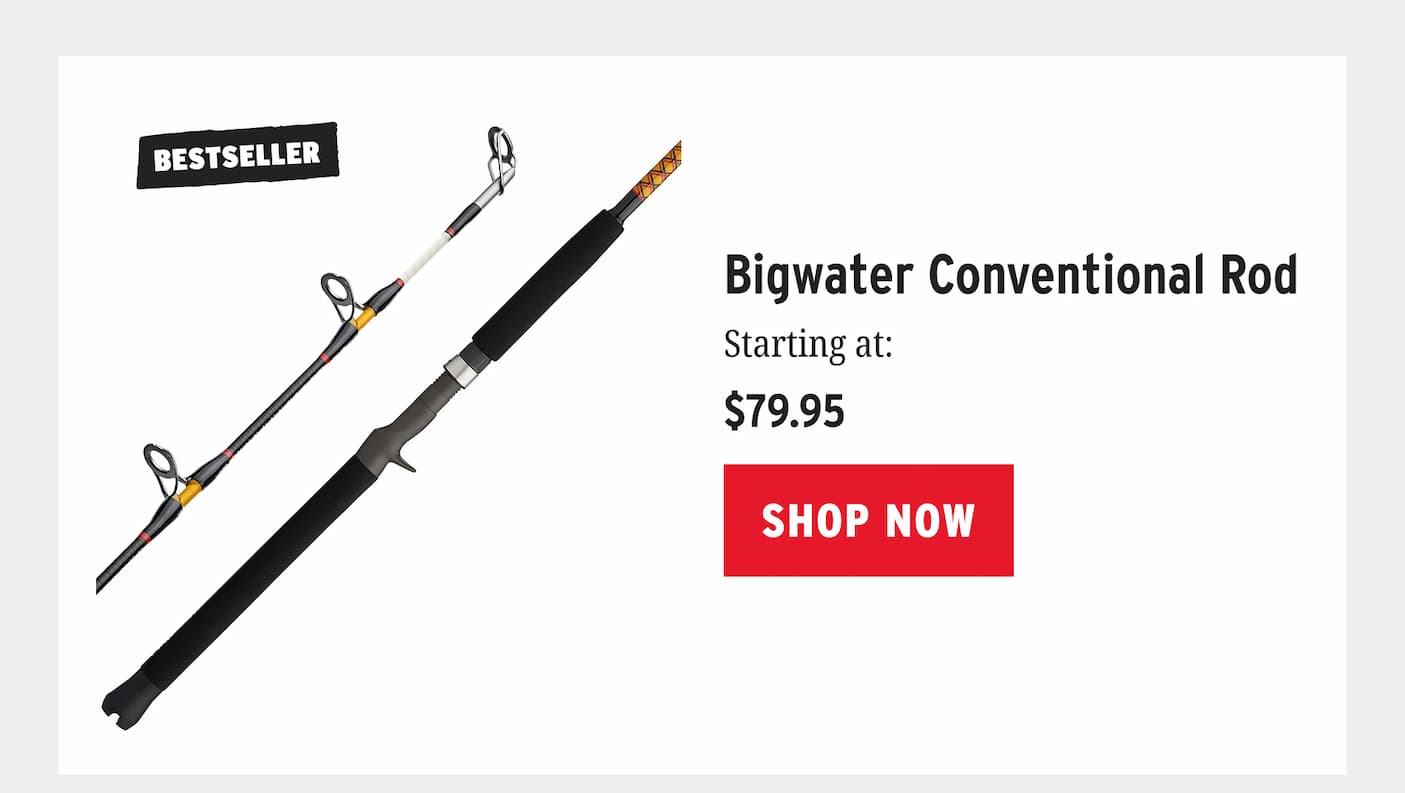 Bigwater Conventional Rod