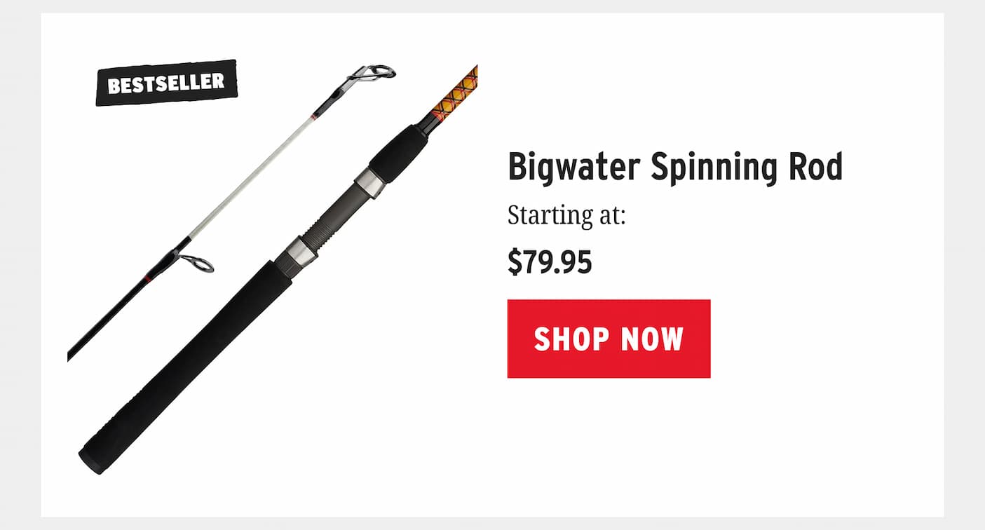 Bigwater Spinning Rod