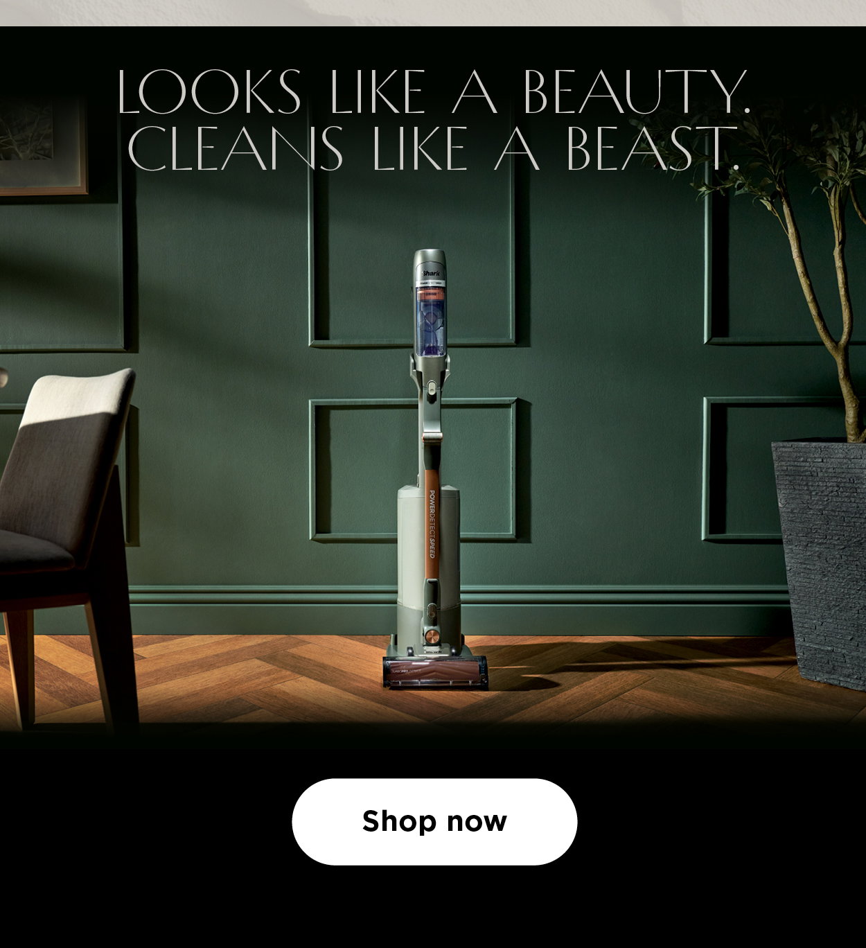 Looks like a beauty. Cleans like a beast.