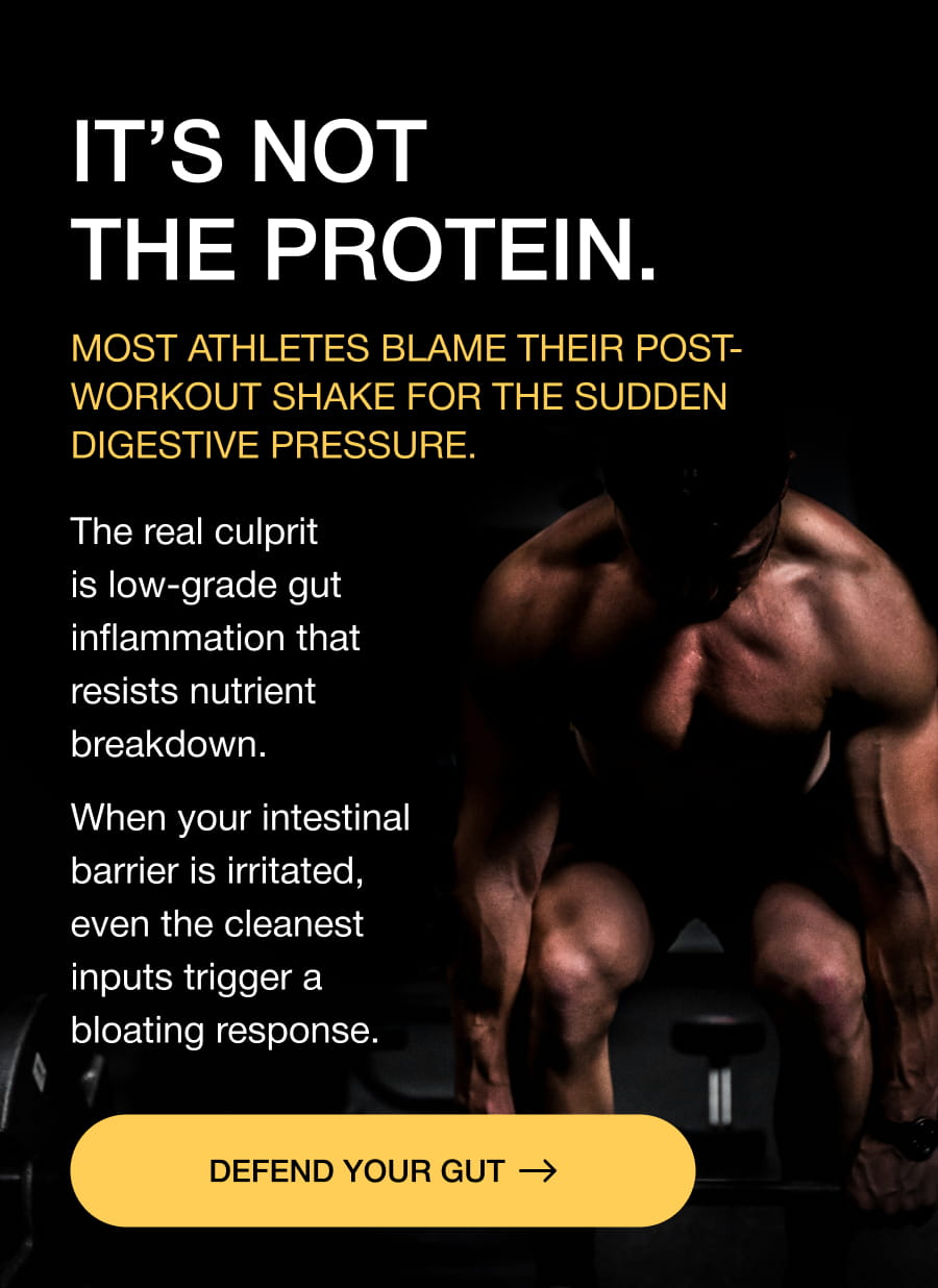 IT’S NOT THE PROTEIN. Most athletes blame their post-workout shake for the sudden digestive pressure. The real culprit is low-grade gut inflammation that resists nutrient breakdown. When your intestinal barrier is irritated, even the cleanest inputs trigger a bloating response. DEFEND YOUR GUT