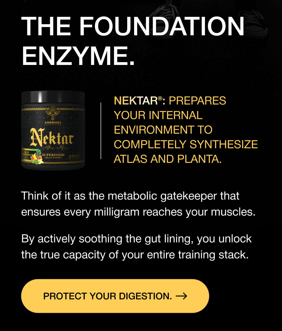THE FOUNDATION ENZYME. Nektar®: prepares your internal environment to completely synthesize Atlas and Planta. Think of it as the metabolic gatekeeper that ensures every milligram reaches your muscles. By actively soothing the gut lining, you unlock the true capacity of your entire training stack. PROTECT YOUR DIGESTION.