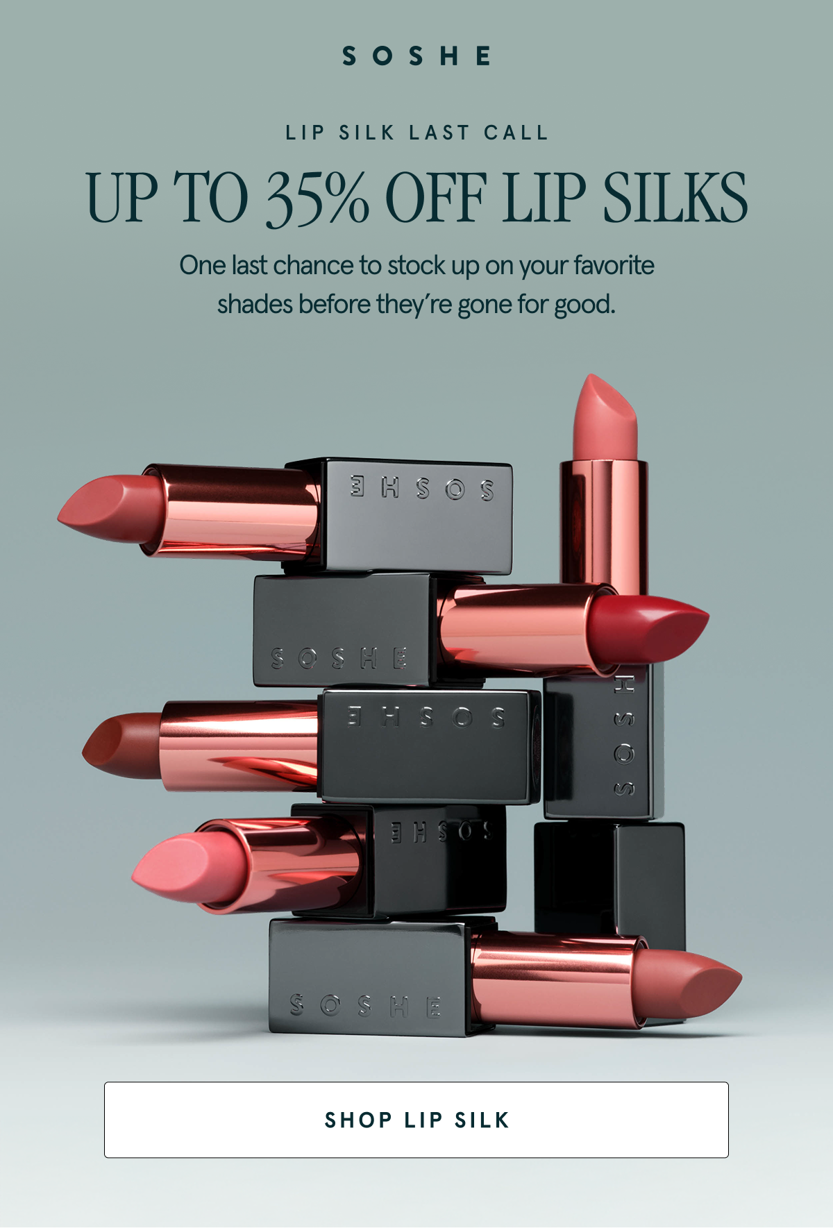 Lip Silk Last Call! One last chance to stock up on your favorite shades before they're gone for good.
