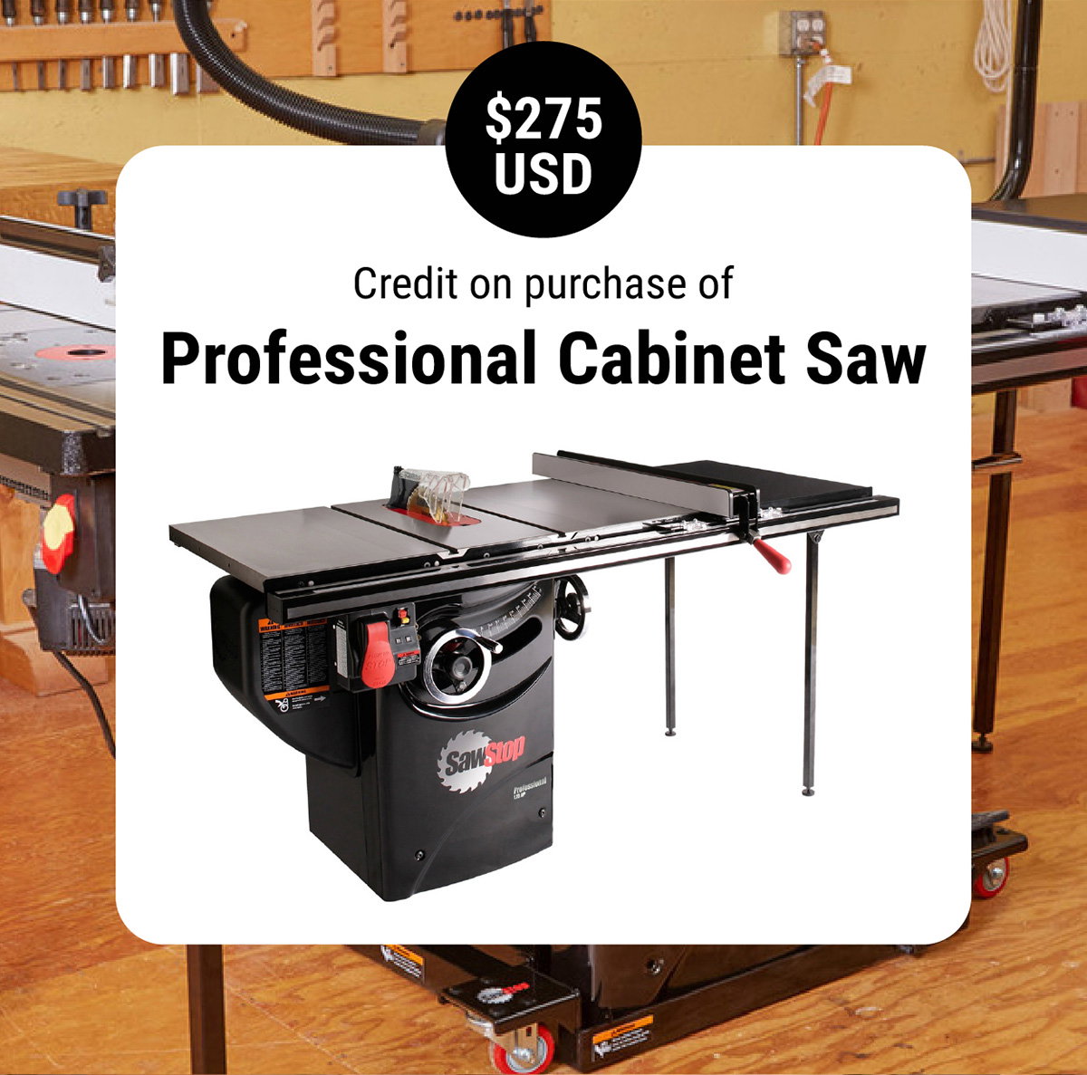 Professional Cabinet Saw