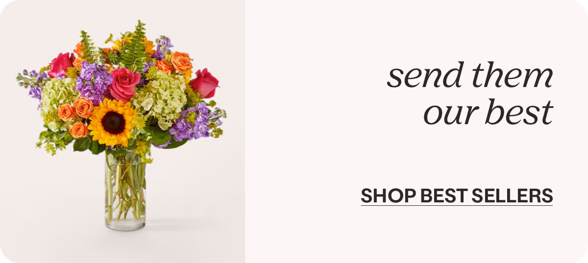 send them our best - SHOP BEST SELLERS »