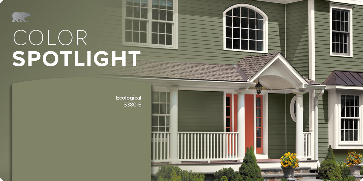 Color spotlight Ecological 