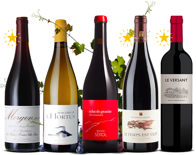 Petits vins grands vignerons