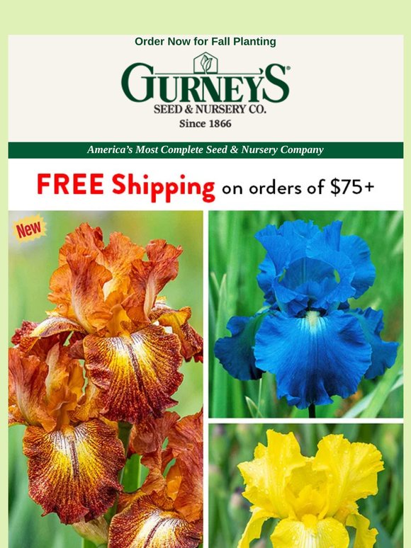 Get your irises shipped FREE.