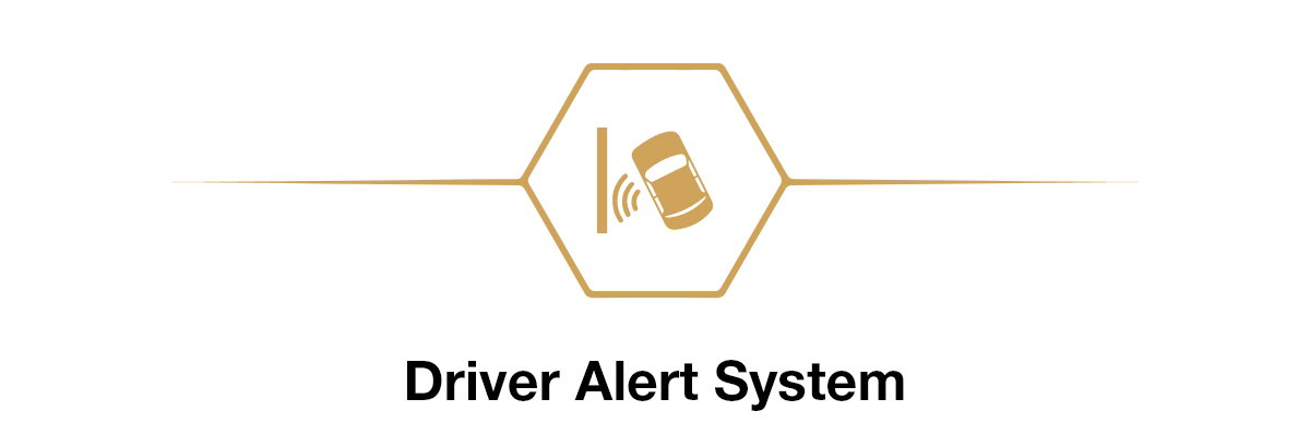 Driver Alert System