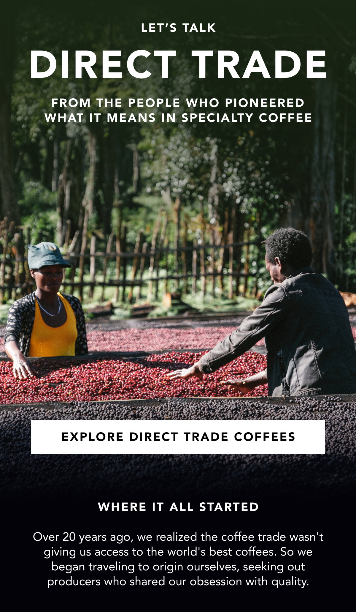 Let's talk Direct Trade, from the people who pioneered what it means in specialty coffee. | EXPLORE DIRECT TRADE COFFEES | Where it all started: Over 20 years ago, we realized the coffee trade wasn't giving us access to the world's best coffees. So we began traveling to origin ourselves, seeking out producers who shared our obsession with quality. 