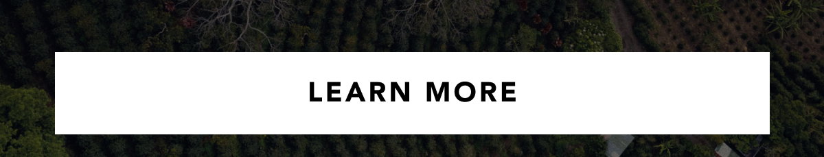 Learn more about our Direct Trade Approach