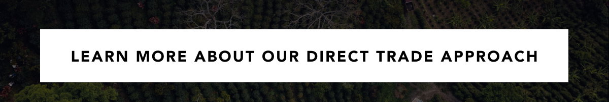 Learn more about our Direct Trade Approach