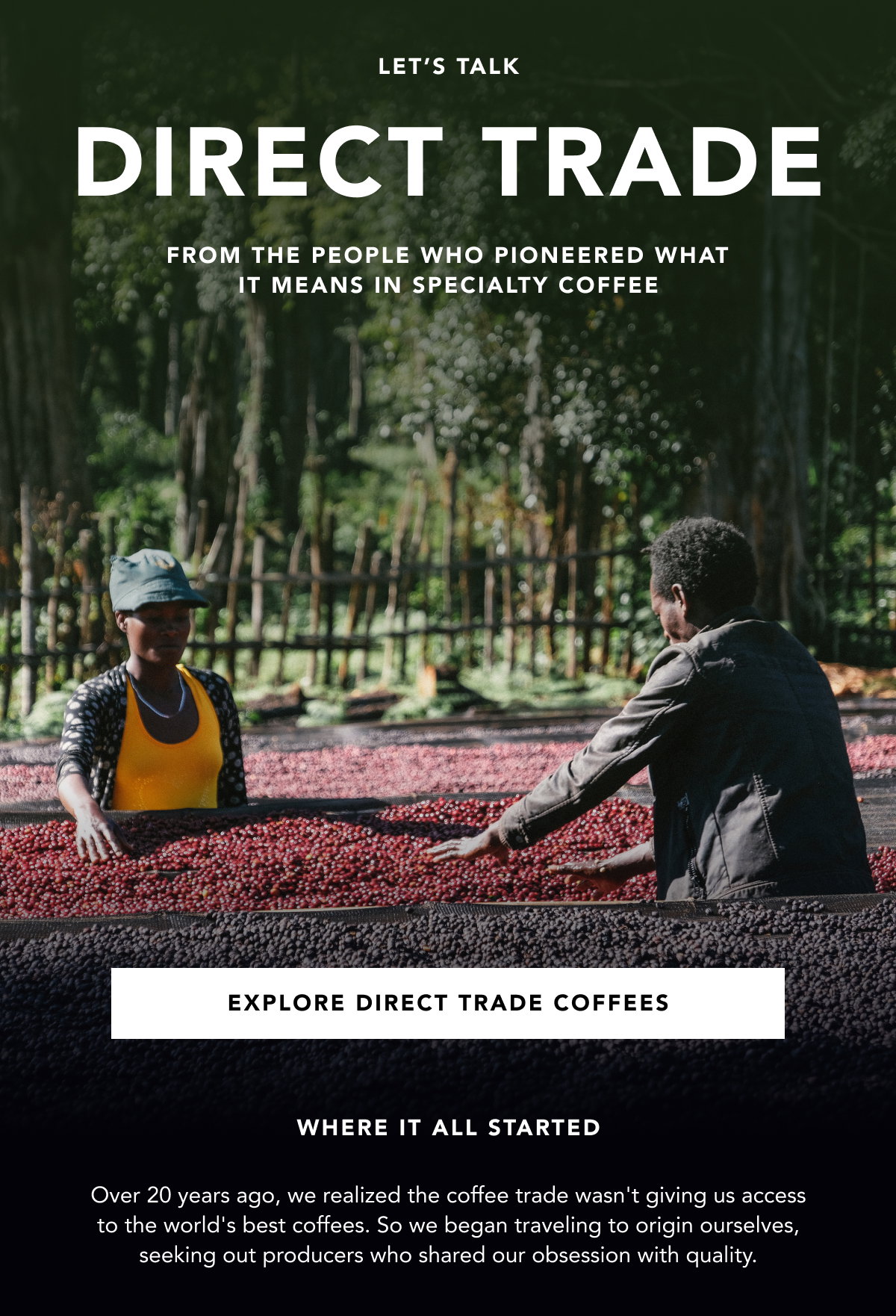 Let's talk Direct Trade, from the people who pioneered what it means in specialty coffee. | EXPLORE DIRECT TRADE COFFEES | Where it all started:  Over 20 years ago, we realized the coffee trade wasn't giving us access to the world's best coffees. So we began traveling to origin ourselves, seeking out producers who shared our obsession with quality. 