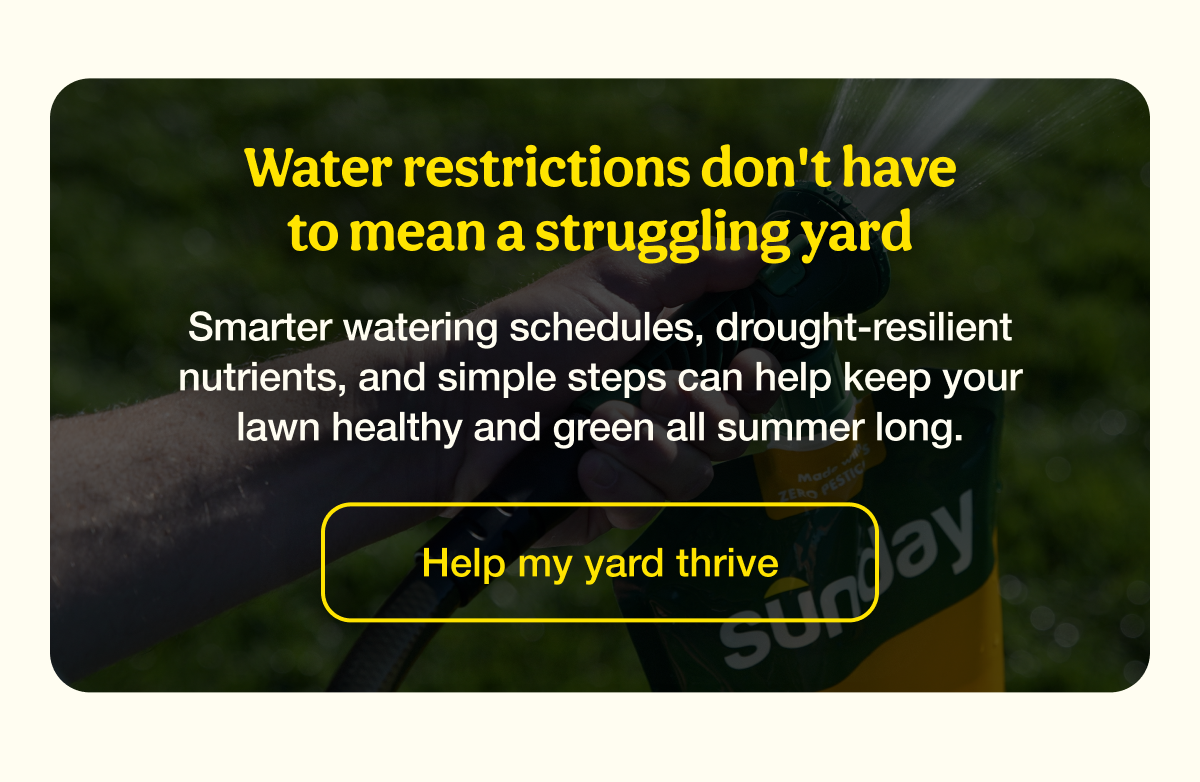 Water restrictions don't have to mean a struggling yard | Help my yard thrive