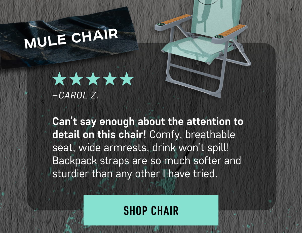Shop the Mule Chair