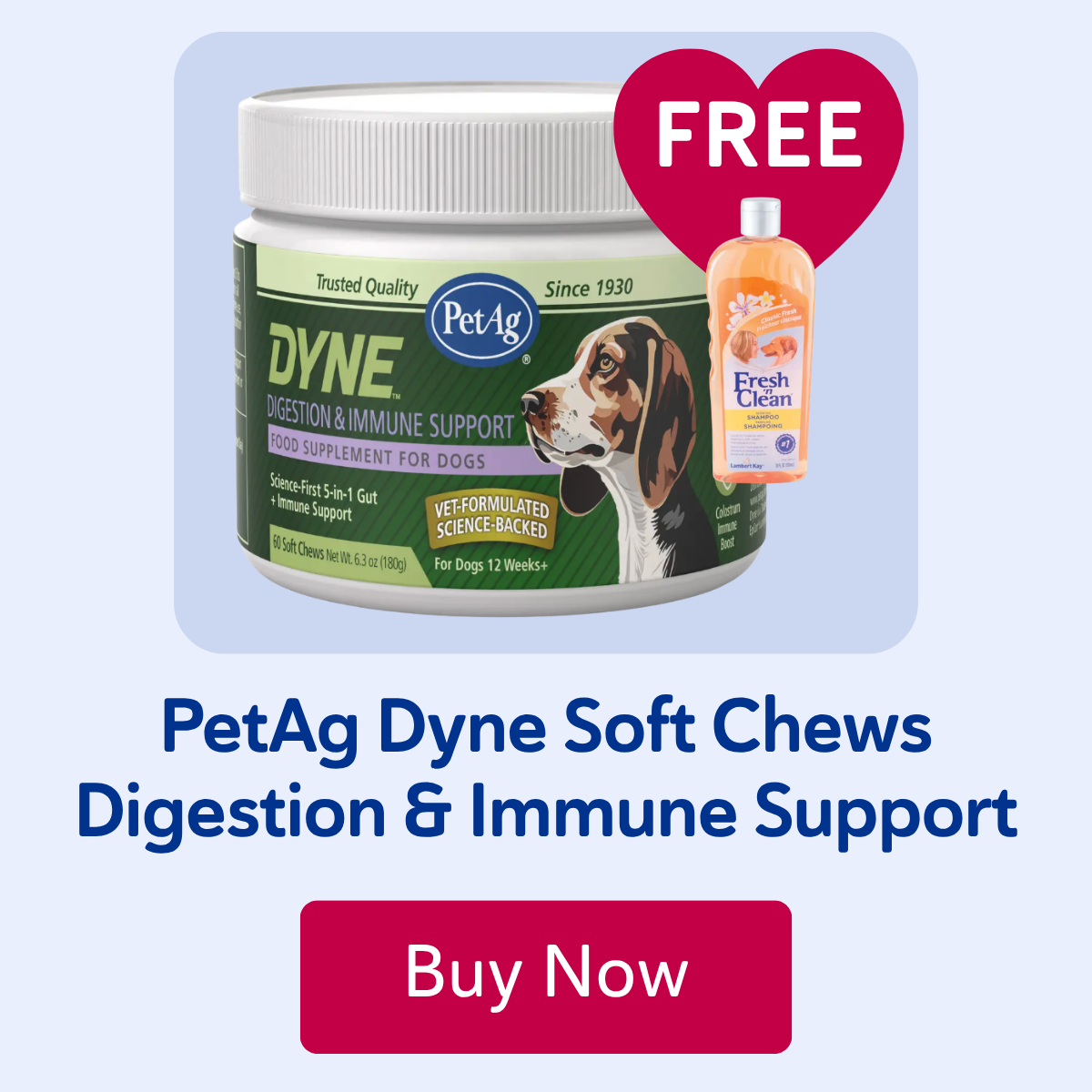 PetAg Dyne Soft Chews Digestion & Immune Support