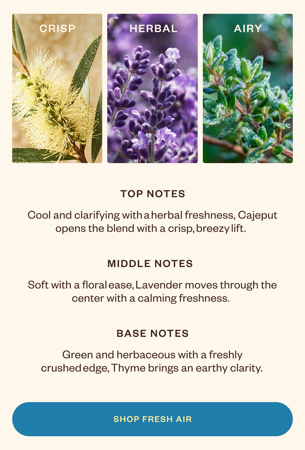Crisp, Herbal and Airy