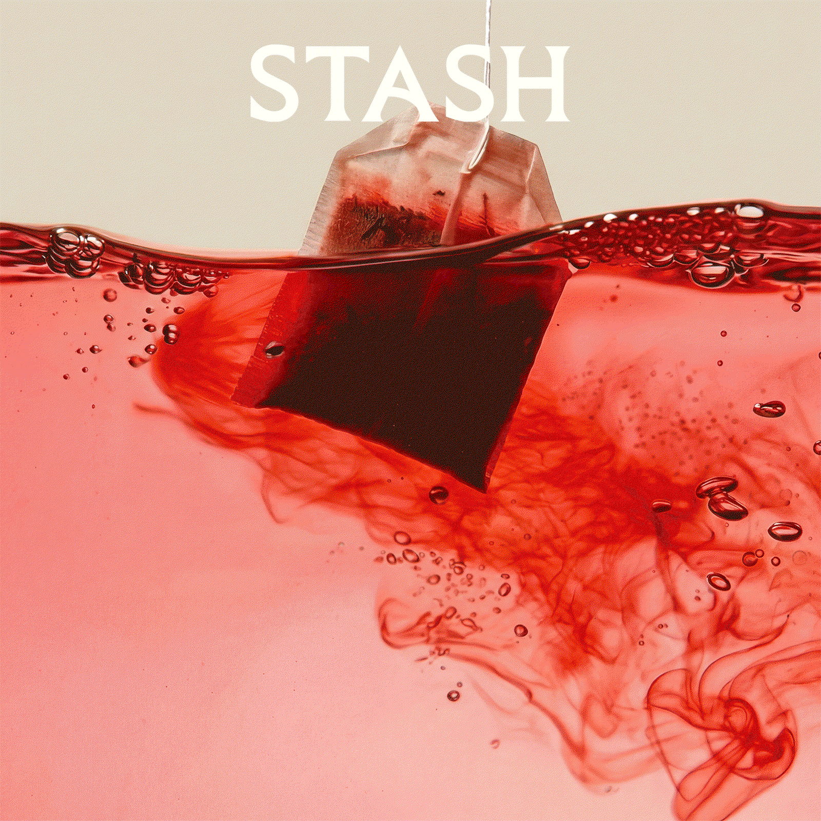 Any Stash Tea Iced
