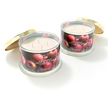 HomeWorx by Slatkin & Co. S/2 Charred Apple Woods 18oz Candles
