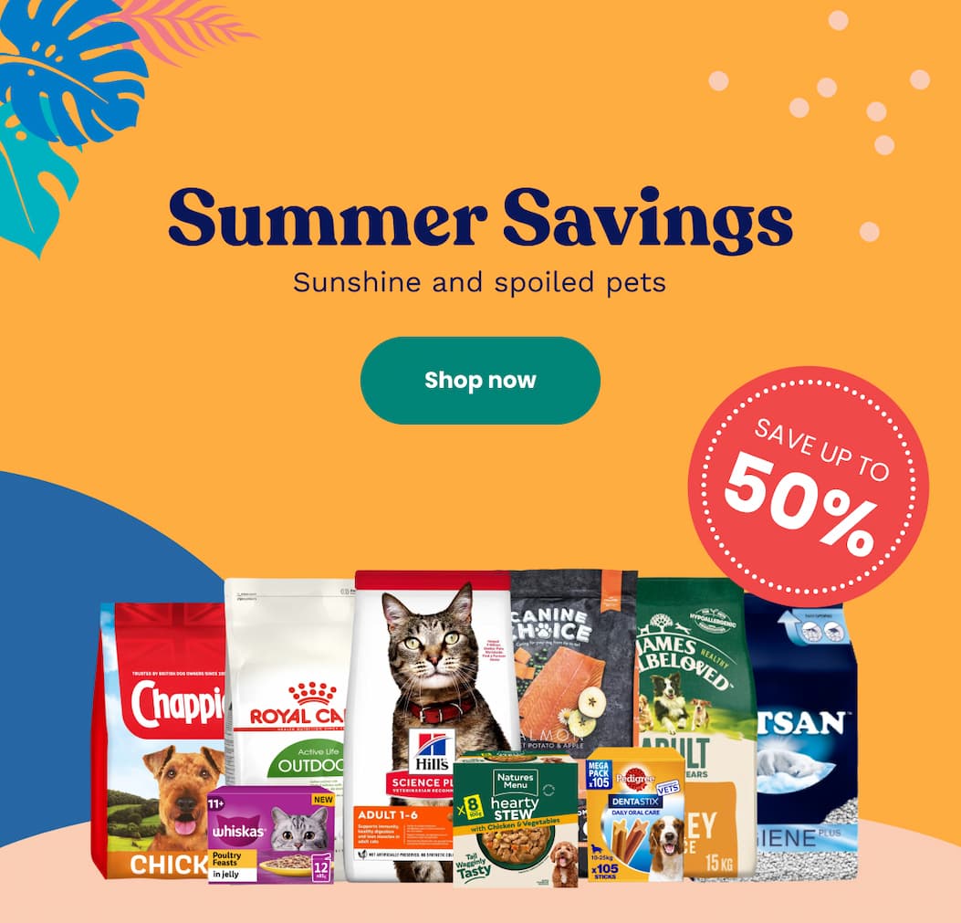 Summer Savings