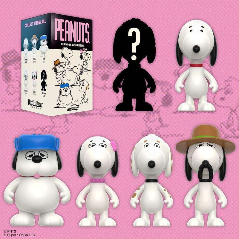 Peanuts Siblings Blind Box