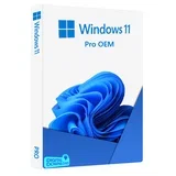 Windows 11 Professional OEM