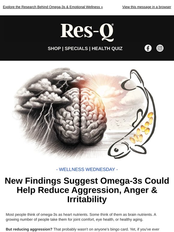 Anger, Irritability & Omega-3s: What Researchers Found 🔍