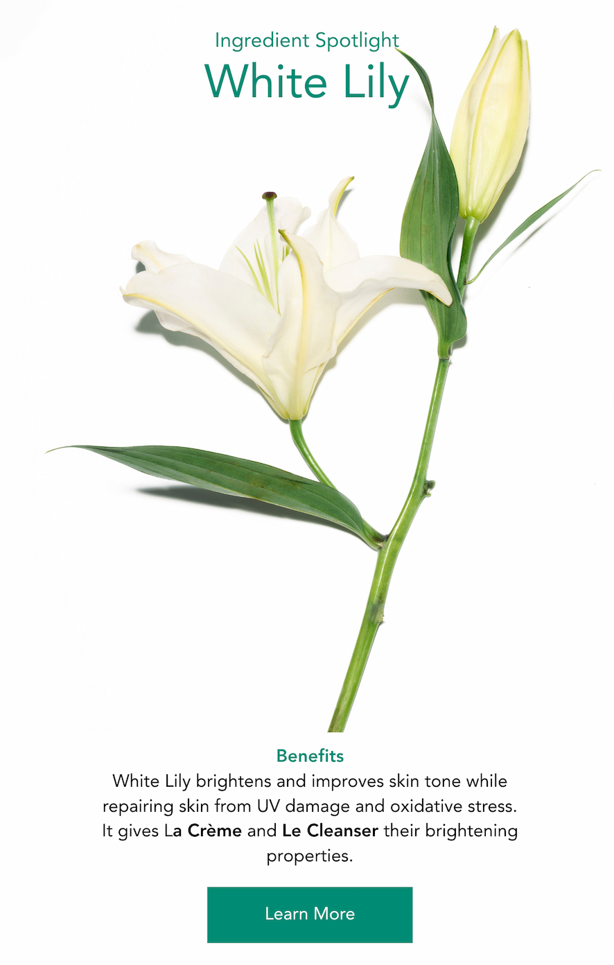 Discover the brightening power of white lily