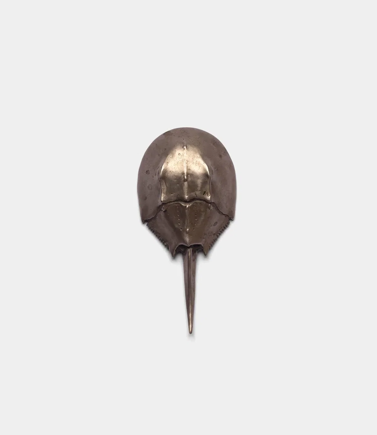 Image of Horseshoe Crab Opener