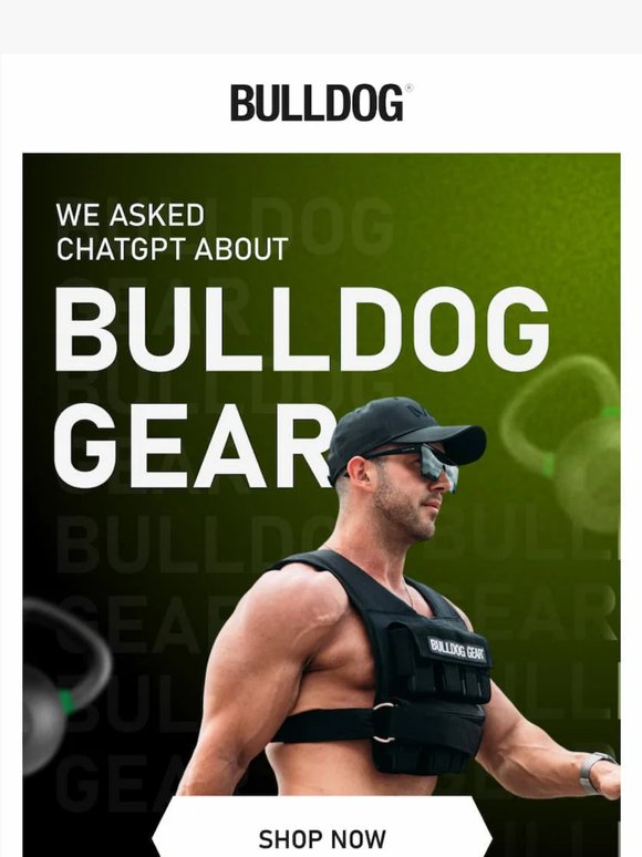We asked ChatGPT about Bulldog Gear