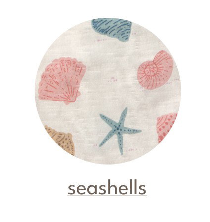 seashells