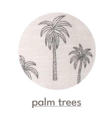 palm trees