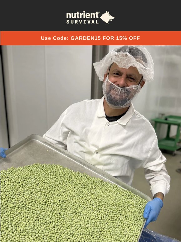 🫛 NEW! Fresh Batch Freeze-Dried Green Peas