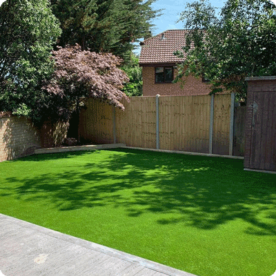 Grass