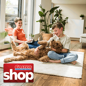 Heating and Air Conditioning Systems