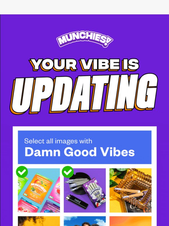 Quick vibe check. Don't fail this one.