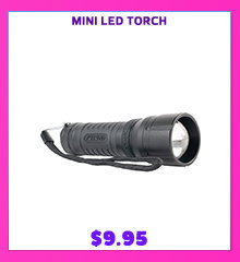 Mini LED Torch