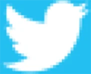 twitter Social Icon