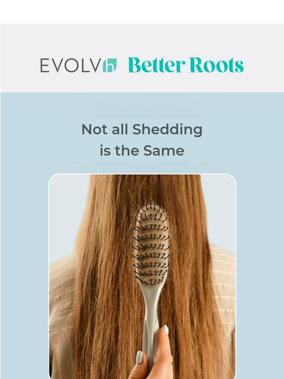 Seasonal Shedding vs. Hair Loss