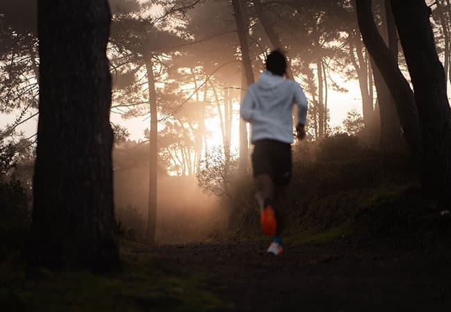 Zapatillas recomendadas para llevar tu trail al siguiente nivel