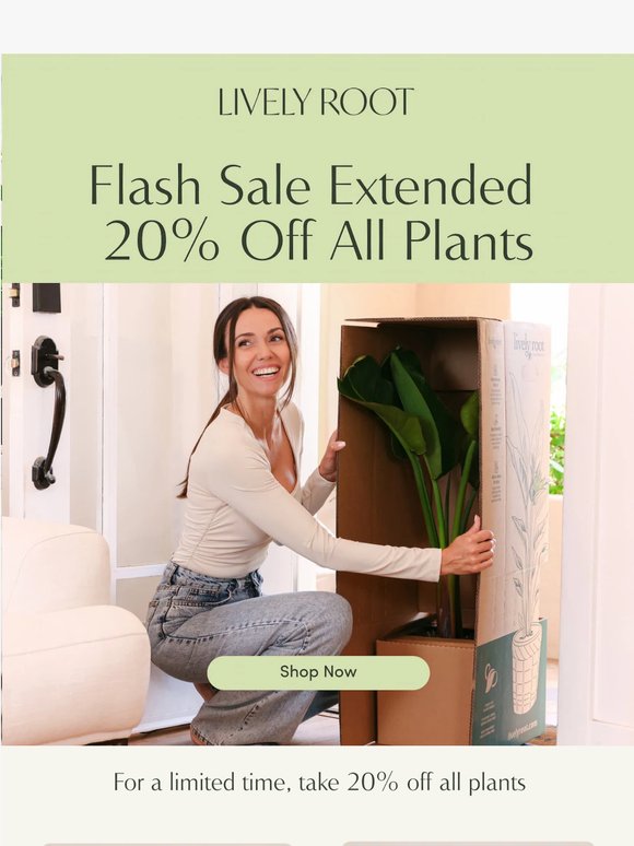 Flash Sale Extended: 24 More Hours 🌿🛒